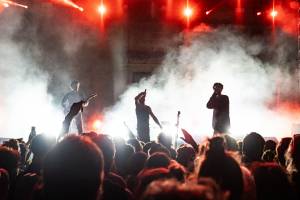 Véronique LARRUE - LARRUE VERONIQUE