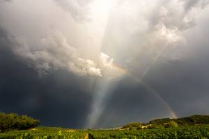 Véronique LARRUE - LARRUE VERONIQUE